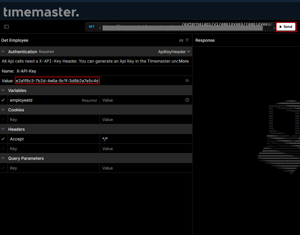 Befüllen der Anfrage mit dem API-Key