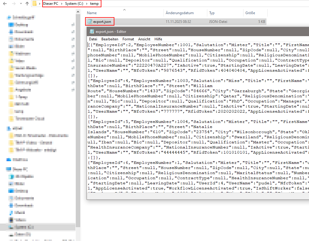 Ansicht des JSON-Exports